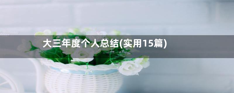 大三年度个人总结(实用15篇)
