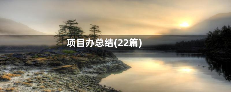 项目办总结(22篇)