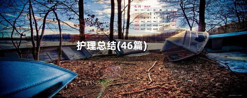 护理总结(46篇)