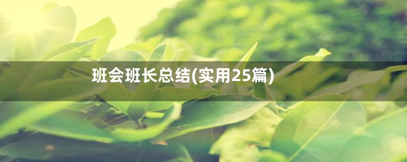 班会班长总结(实用25篇)