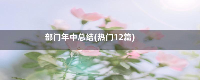 部门年中总结(热门12篇)