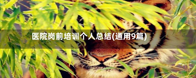 医院岗前培训个人总结(通用9篇)