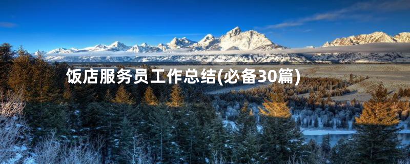 饭店服务员工作总结(必备30篇)