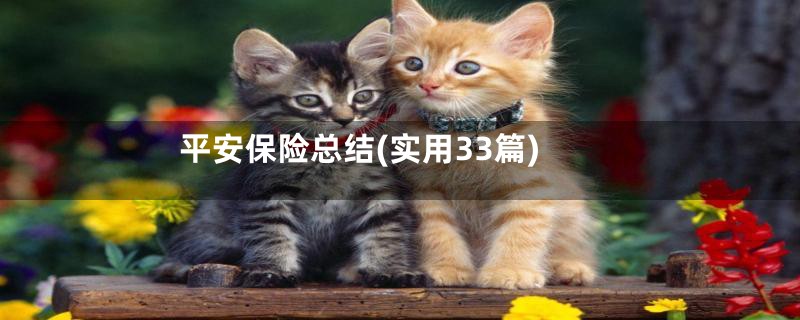 平安保险总结(实用33篇)