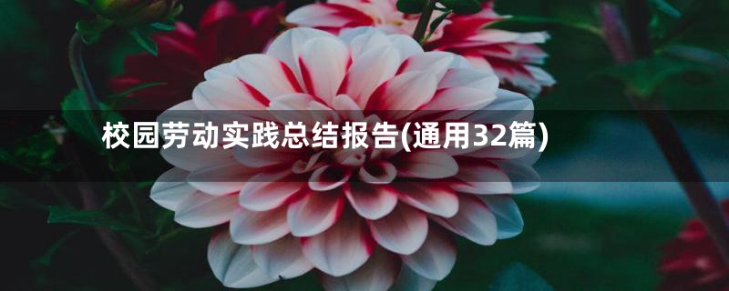 校园劳动实践总结报告(通用32篇)
