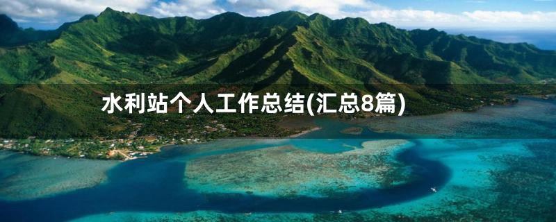 水利站个人工作总结(汇总8篇)