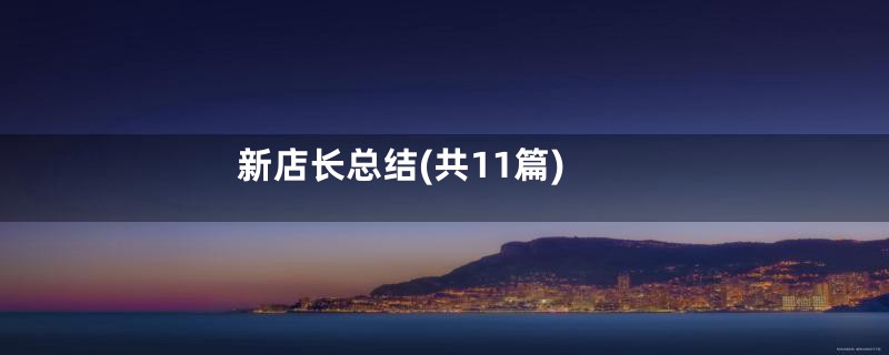 新店长总结(共11篇)