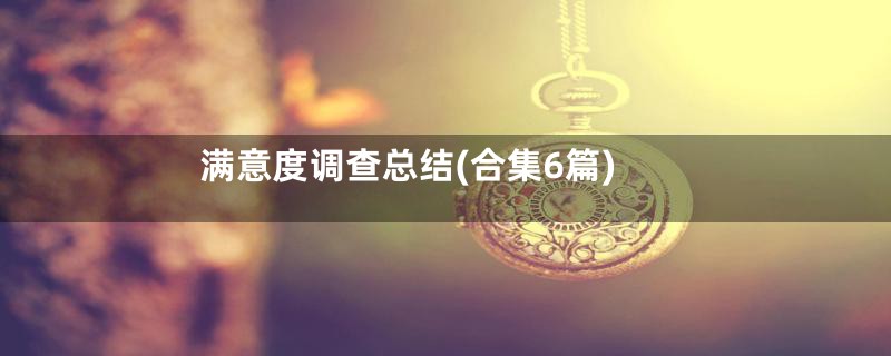 满意度调查总结(合集6篇)