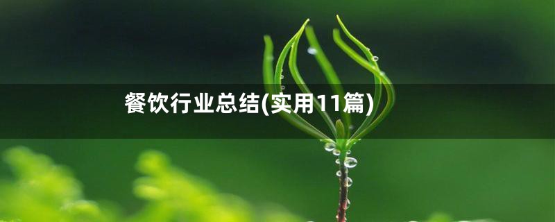 餐饮行业总结(实用11篇)