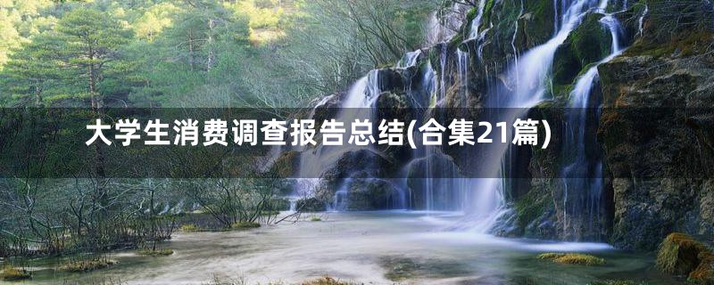 大学生消费调查报告总结(合集21篇)
