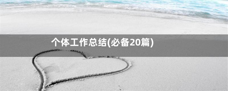个体工作总结(必备20篇)