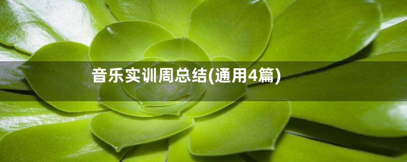 音乐实训周总结(通用4篇)
