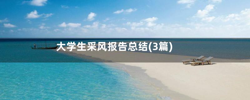 大学生采风报告总结(3篇)