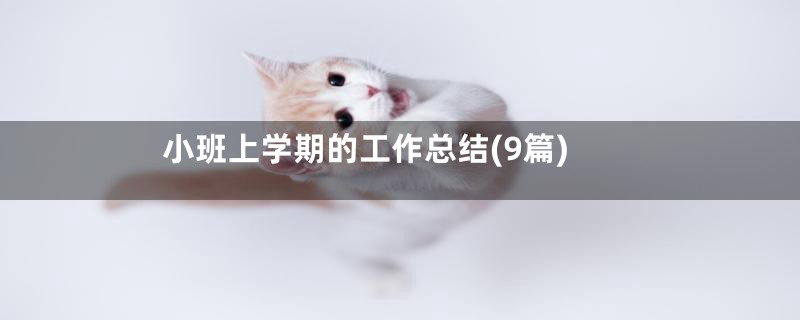 小班上学期的工作总结(9篇)