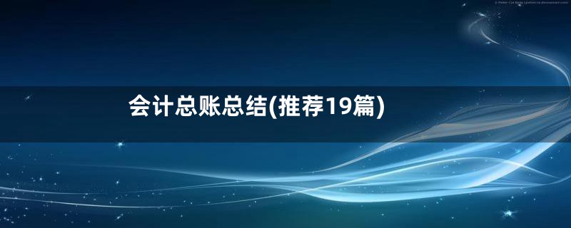 会计总账总结(推荐19篇)