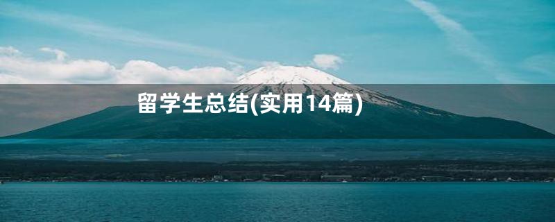 留学生总结(实用14篇)