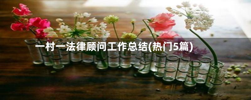 一村一法律顾问工作总结(热门5篇)