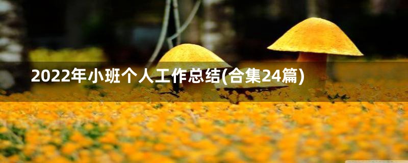 2022年小班个人工作总结(合集24篇)