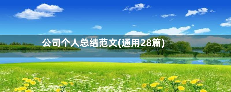 公司个人总结范文(通用28篇)