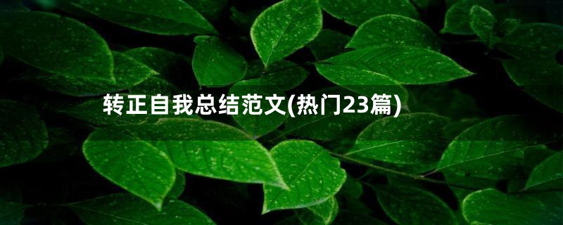 转正自我总结范文(热门23篇)