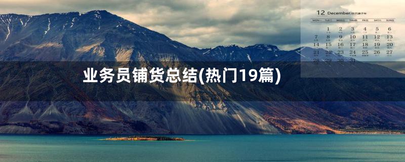业务员铺货总结(热门19篇)