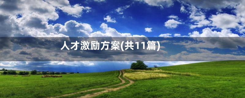 人才激励方案(共11篇)