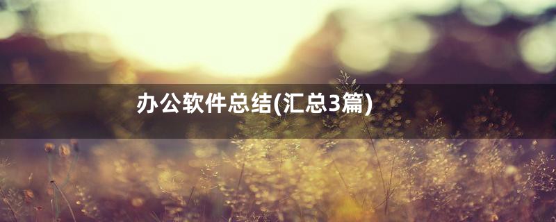 办公软件总结(汇总3篇)