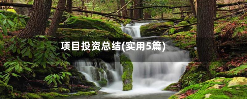 项目投资总结(实用5篇)