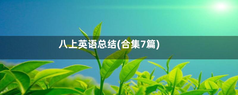 八上英语总结(合集7篇)