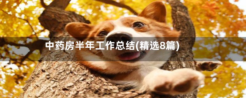 中药房半年工作总结(精选8篇)