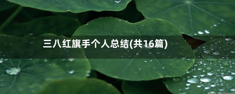 三八红旗手个人总结(共16篇)