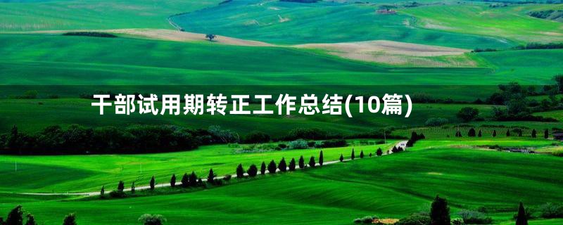 干部试用期转正工作总结(10篇)