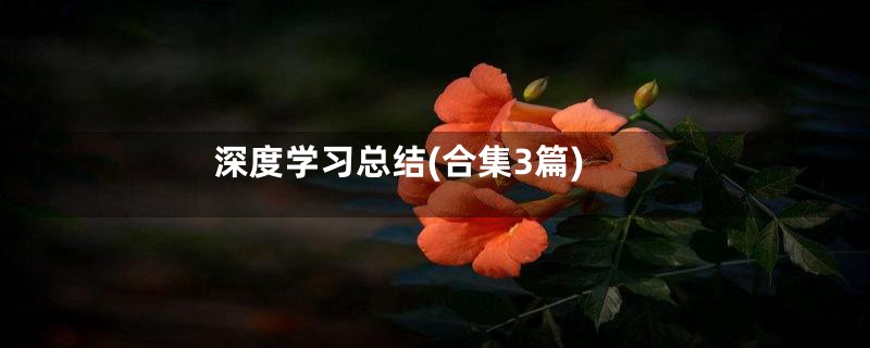 深度学习总结(合集3篇)