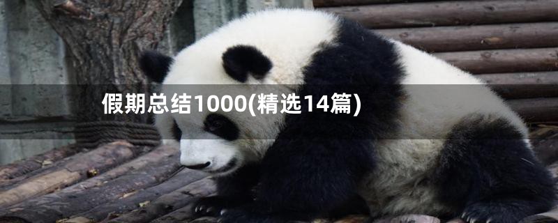 假期总结1000(精选14篇)
