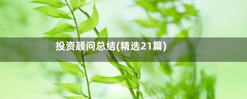 投资顾问总结(精选21篇)
