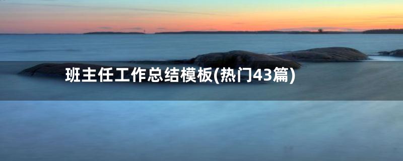 班主任工作总结模板(热门43篇)
