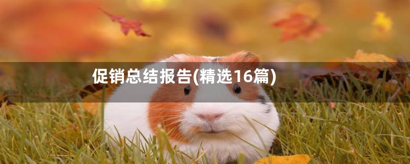 促销总结报告(精选16篇)