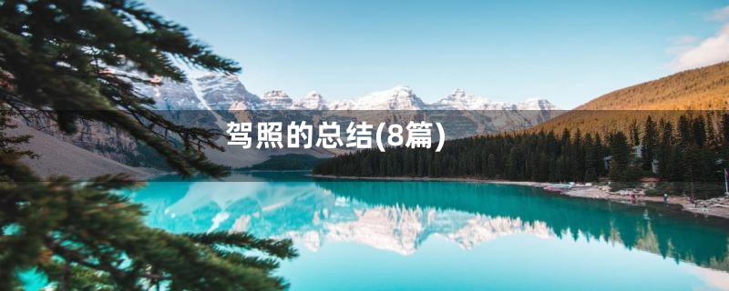 驾照的总结(8篇)