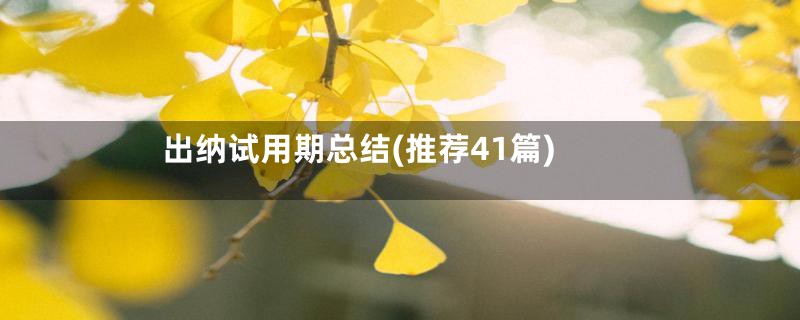 出纳试用期总结(推荐41篇)