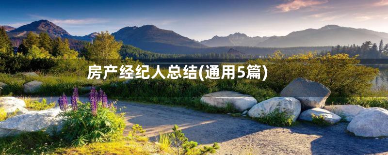 房产经纪人总结(通用5篇)