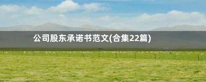 公司股东承诺书范文(合集22篇)