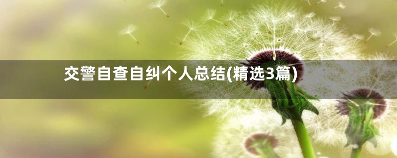 交警自查自纠个人总结(精选3篇)