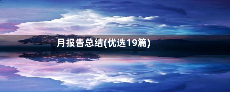 月报告总结(优选19篇)