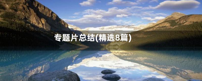 专题片总结(精选8篇)