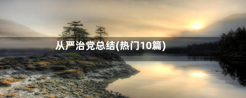 从严治党总结(热门10篇)