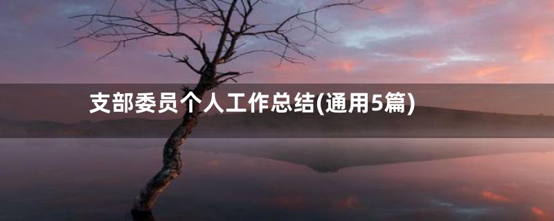 支部委员个人工作总结(通用5篇)