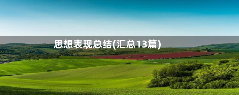 思想表现总结(汇总13篇)