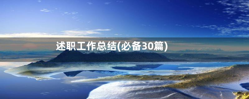 述职工作总结(必备30篇)