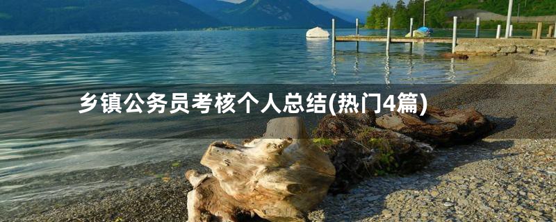 乡镇公务员考核个人总结(热门4篇)