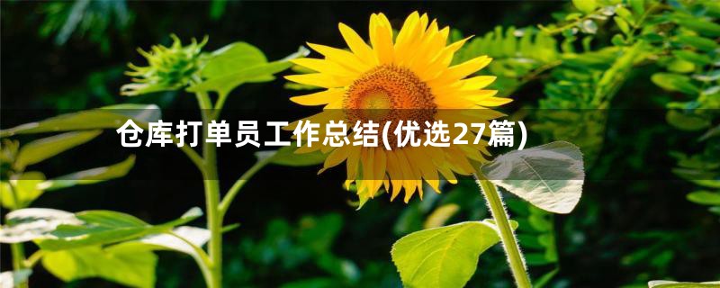 仓库打单员工作总结(优选27篇)